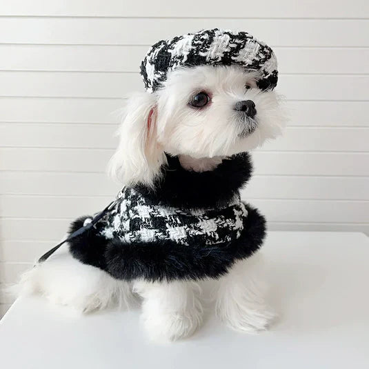 Pooch Apparel