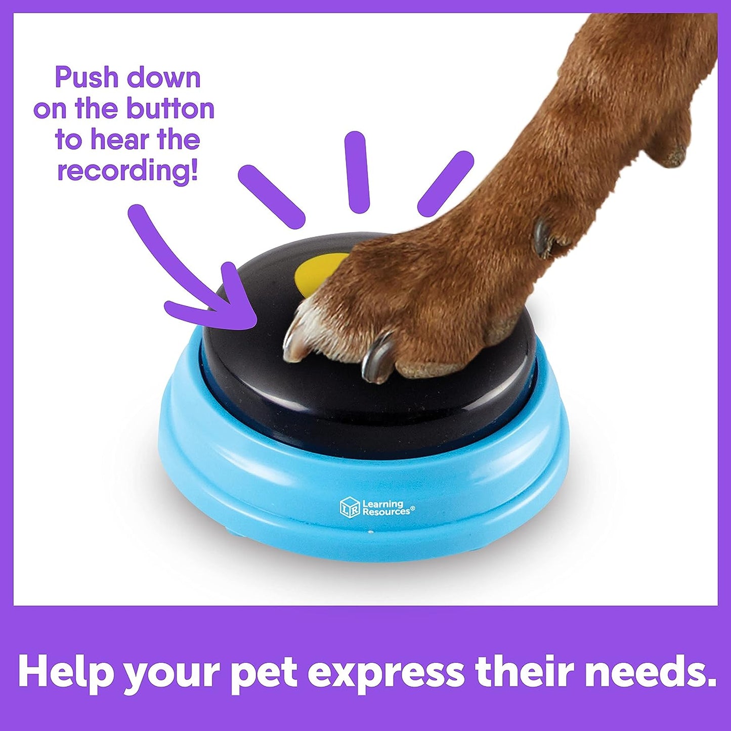 Teaching Dogs Words -Buttons