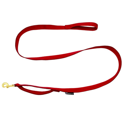 Leashes Seatbelt