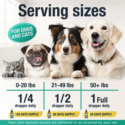 Charlie & Buddy Hemp Oil for Dogs & Cats, Calming & Joint Support