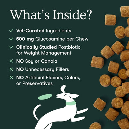 Hip & Joint Supplement for Dogs – 90 Soft Chews, Glucosamine & MSM