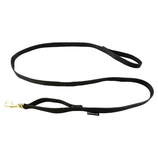 Leashes Seatbelt