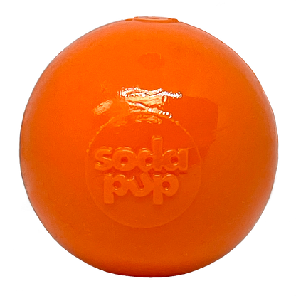 Squeak Ball - Durable Squeaky Dog Toy, Floats, Chew Toy | USA Made